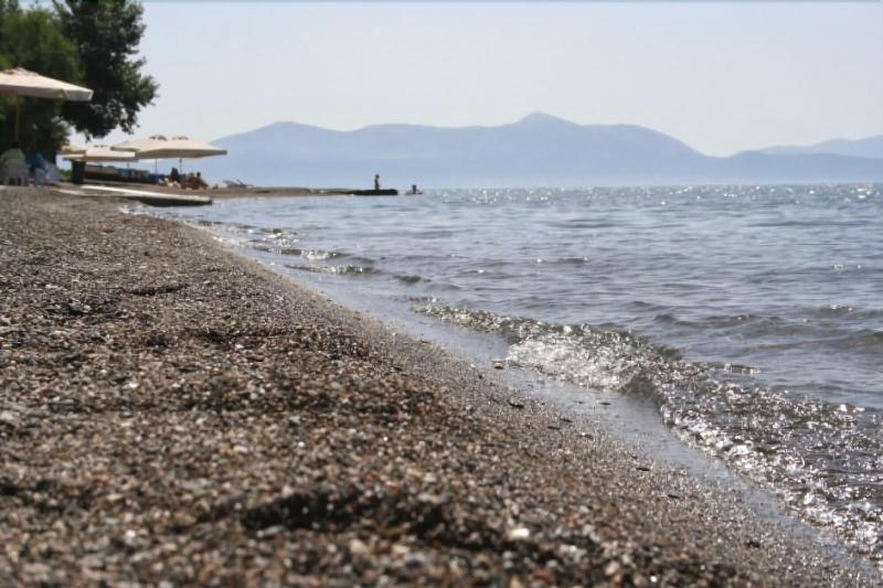 Posidonia Pension Amarynthos Ngoại thất bức ảnh
