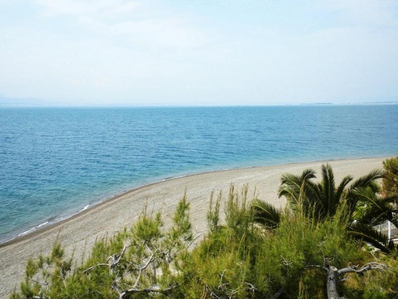 Posidonia Pension Amarynthos Ngoại thất bức ảnh