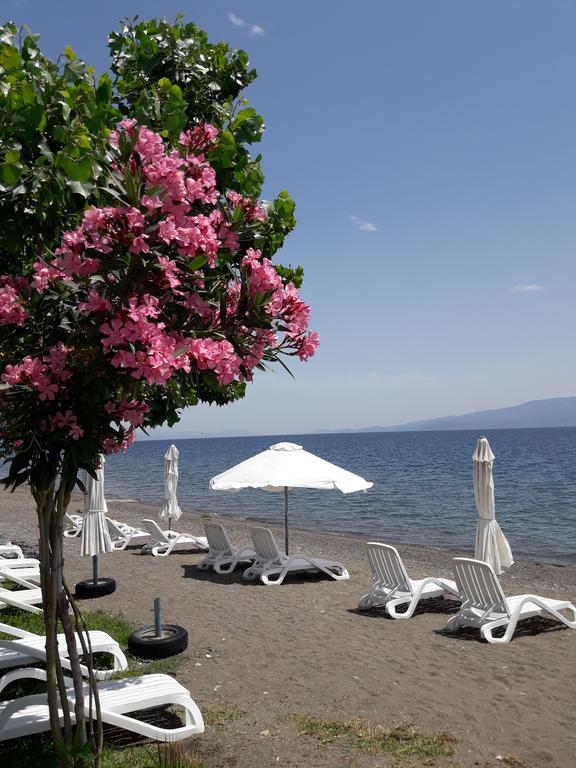 Posidonia Pension Amarynthos Ngoại thất bức ảnh